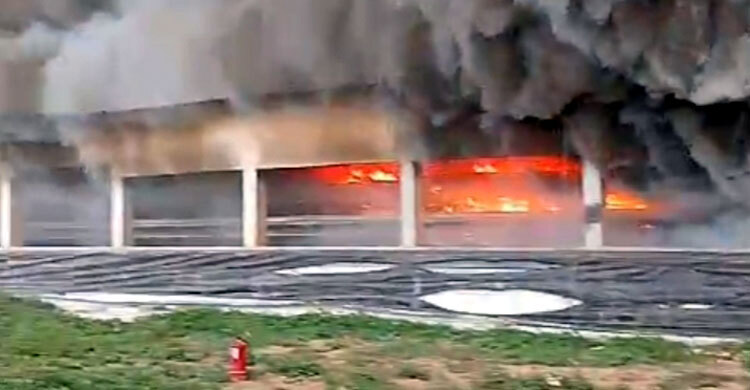 যশোরে মুরগি খামারে আগুন, ২০ কোটি টাকার ক্ষতি